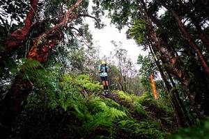 BIB: 
                            <button type="button" onclick="openModal(26202297)" class="btn btn-primary btn-sm float-right btn-popup" data-toggle="modal" data-target=".modal-high-quality">
                        <i class="fas fa-shopping-cart"></i> Add to Cart
                    </button>
                                            <button type="button" onclick="isThisMe(26202297, true)" class="btn btn-success btn-sm float-right btn-popup btn-isme hidden" data-toggle="tooltip" data-placement="bottom" title="นี่คือรูปของคุณใช่ไหม คลิกที่นี่เพื่อเอาเข้าอัลบั้ม">
                        <i class="fas fa-plus"></i> Add to album
                    </button>
                    <button type="button" onclick="isThisMe(26202297, false)" class="btn btn-warning btn-sm float-right btn-popup btn-isnotme hidden">
                        <i class="fas fa-ban"></i> Remove from album
                    </button>